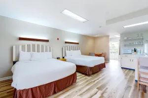 Image of Second-floor studio with quiet view, patio & gym - walk to Douglas Lake, dogs OK