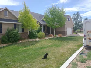 Image of DELIGHTFUL FARM STAY WITH ANIMALS-