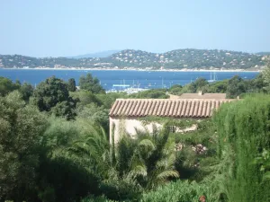 Image of Ground floor apartment in Provencal villa, 300 metres from beaches