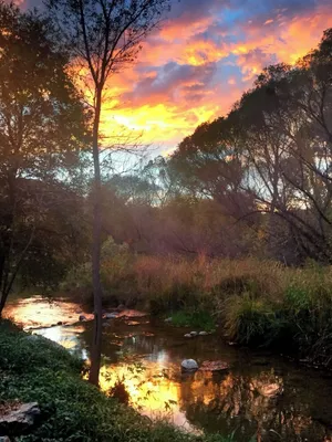 Image of Sedona Creekfront Hideaway ~ a beautiful private home on 2 acres of creek front