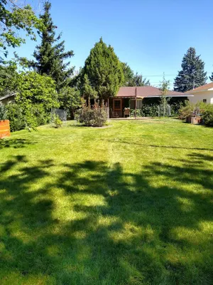 Image of Cozy Cottage with Great Location