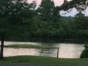 Image of Cedar Cabin style house in Toledo Bend