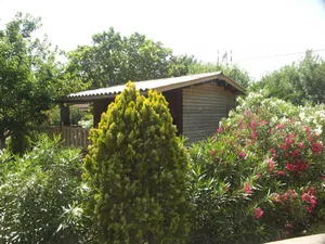 Image of Wooden chalet with large terrace