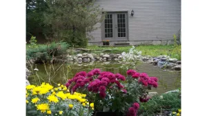 Image of White Mountain Retreat - Family\/Pet Friendly- Year Round : Ski areas Close by!