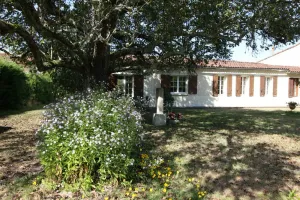 Image of Gite DE Romefort - Avensan