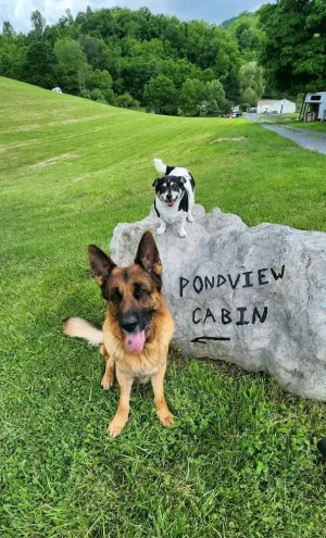 Image of Pond View Cabin in Wild Wonderful WV