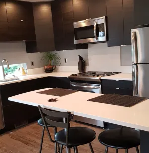 Image of Modern condo near Microsoft for business travelers