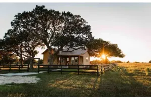 Image of Relax at RMB Longhorn East, a country paradise