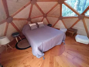 Image of The unusual Tari dome
