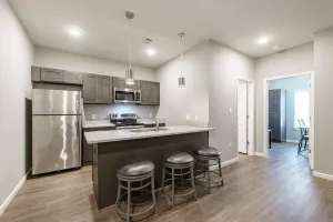 Image of Luxury Furnished Rental in Conway, AR Unit 206