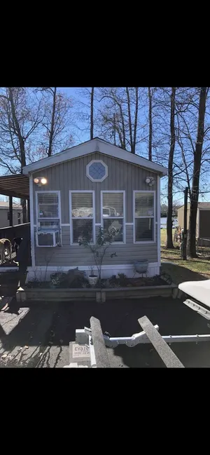 Image of Fun in the sun