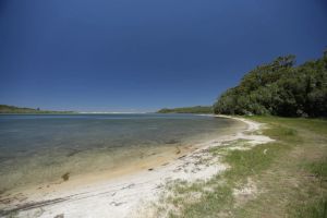 Image of From the Treetops to the Lakeside in seconds!