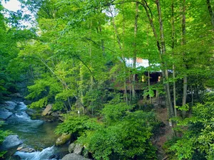 Image of Riverfront Log Cabin w\/ Private Waterfall, Firepit & Panoramic Deck