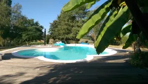 Image of Romantic Studio gite nestled in the vines and prune trees, own private garden
