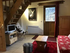 Image of COZY INDIVIDUAL CHALET WITH GARDEN FOR 4 people in GRAND MASSIF