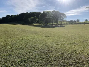 Image of South Holston LAKE FRONT area for camping, has water from hose only. No hookups.