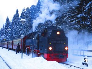 Image of The Harz Mountains - relaxation, nature or activity - Swiss stone pine strengthens your well-being