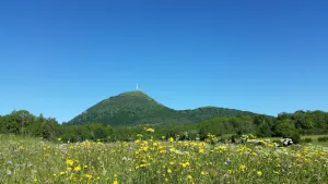 Image of 10 minutes from Vulcania, nature gite with terrace overlooking valley