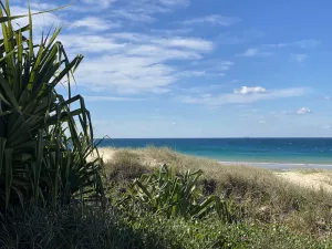 Image of Absolute beachfront- Bush, Beach, Dogs, Relax!