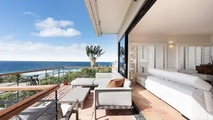 Image of Birdie - Sunshine Beach