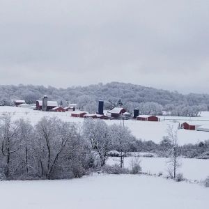 Image of 3 miles from Sunburst Ski Hill. Close to  great hikiing and snow mobile trails