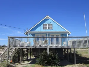 Image of BLUE WHALE on St. George Island, Florida
