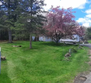 Image of Trailside Copper