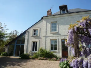 Image of Between Loire and Vines