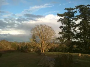 Image of Shared hot tub with meadow view
