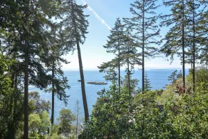 Image of San Juan Island, Orca Overlook #112
