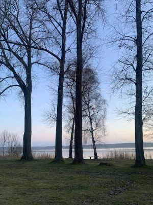 Image of Vacation apartment Puttenusenhof am Mellensee, Apartment