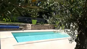Image of House with private pool that can accommodate three families. 4, 8, 12 people