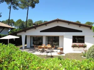 Image of Les Roitelets