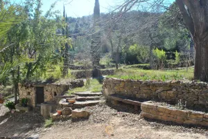 Image of GITE TILLEUL MAS DE RATIES