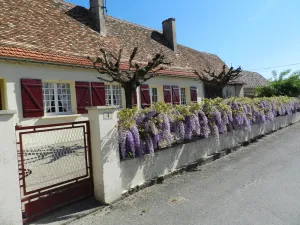 Image of GITE \"LES GLYCINES\" IN THE COUNTRY IN PERIGORD