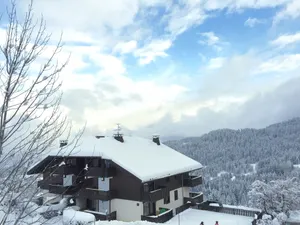 Image of Face au Mont Blanc, plein sud
