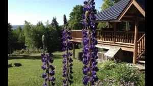 Image of Vermont Log Home with Trout Pond