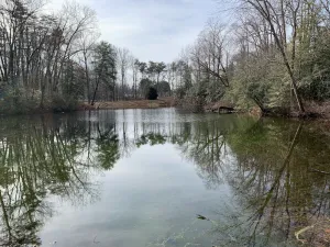 Image of View Peaceful Pond while lounging in this open studio apartment!