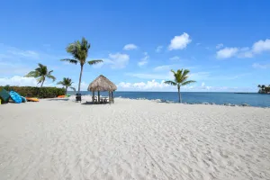 Image of Reel Paradise at Sea Gulls