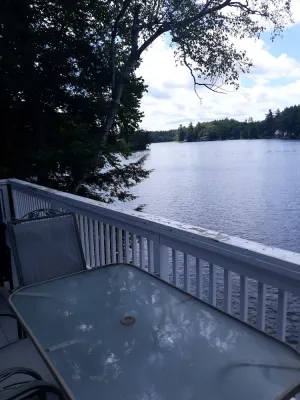 Image of Waterfront cottage on large, wooded lot with amazing swimming and fishing