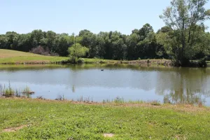 Image of Southern Il. Lodge with a View and a pond