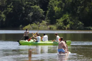Image of WOOD FARM IN FRONT of 50 hectare estate
