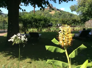 Image of GUEST ROOMS in the Volcanoes Park of Auvergne