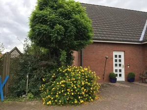 Image of Holiday house near Baltic Sea (Bay of Lübeck)