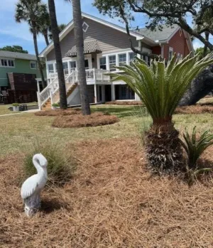 Image of SEAS THE DAY: Charming Folly Beach Apartment awaits your arrival!