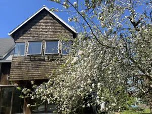 Image of Private Contemporary Artist's Tree House on two acres with perennial gardens.