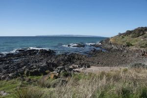 Image of Peace, serenity & sea views - dolphins, wallabies & coastal walks