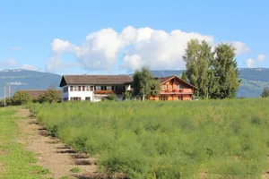 Image of Holiday apartment Subingen for 1 - 4 persons with 2 bedrooms - Farmhouse