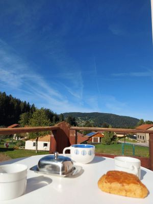 Image of Beautiful apartment in a Vosges farmhouse