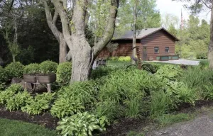 Image of Peaceful Cabin on Water plus Platte River Access